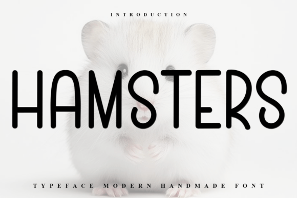 Hamsters Font: A Modern Display Typeface for Campaigns