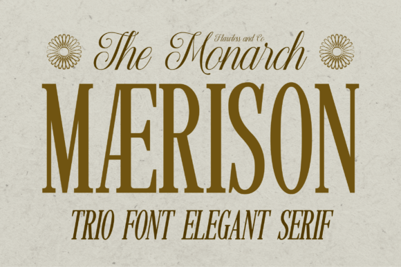Maerison: A Premium Font Trio for Your Brand