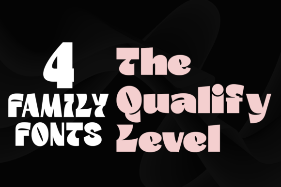 The Quality Level: A Bold Sans Serif for Modern Branding