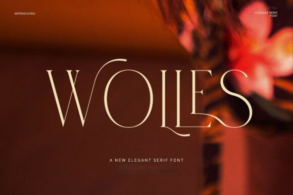 Wolles Elegant Modern Serif: A Designer’s Review